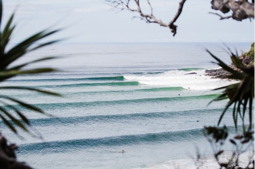 Tea Tree Noosa